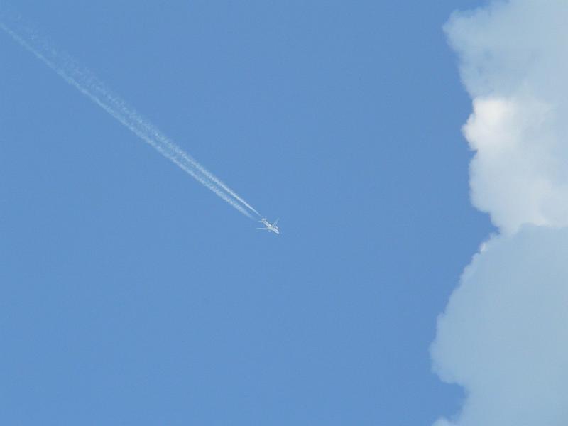 wiosna 2008_21.jpg